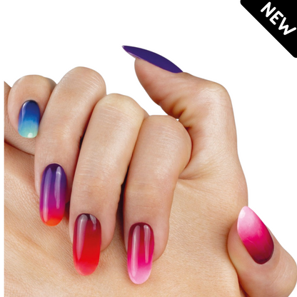 ESTROSA -   Pennello Ombre - High Performance