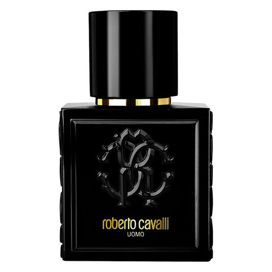 ROBERTO CAVALLI UOMO EDT 100 ML